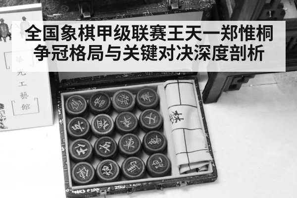 xiangqi chinese chess board pieces