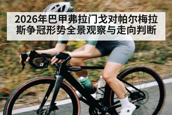 2026年巴甲弗拉门戈对帕尔梅拉斯争冠形势全景观察与走向判断